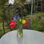 Marijeta 아파트 *