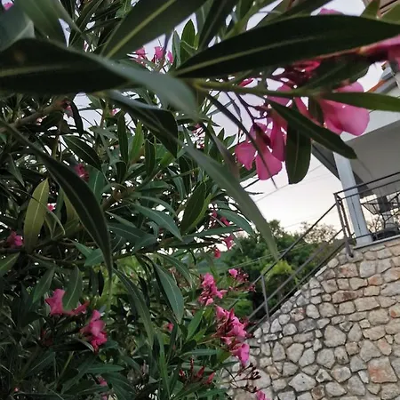 Marijeta * Mošćenička Draga
