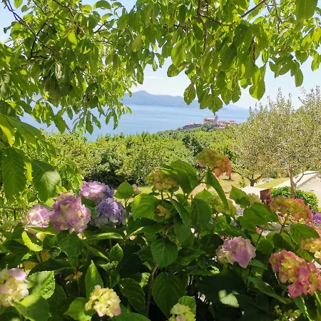 Marijeta Appartement Mošćenička Draga